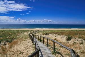 Thomas LAFARGUE - LAFARGUE THOMAS